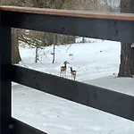 S Vyhledem Do Udoli Frymburk, Nahlov Nyaraló