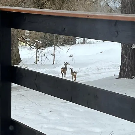 S Výhledem Do údolí Frymburk, Náhlov Casa de Férias